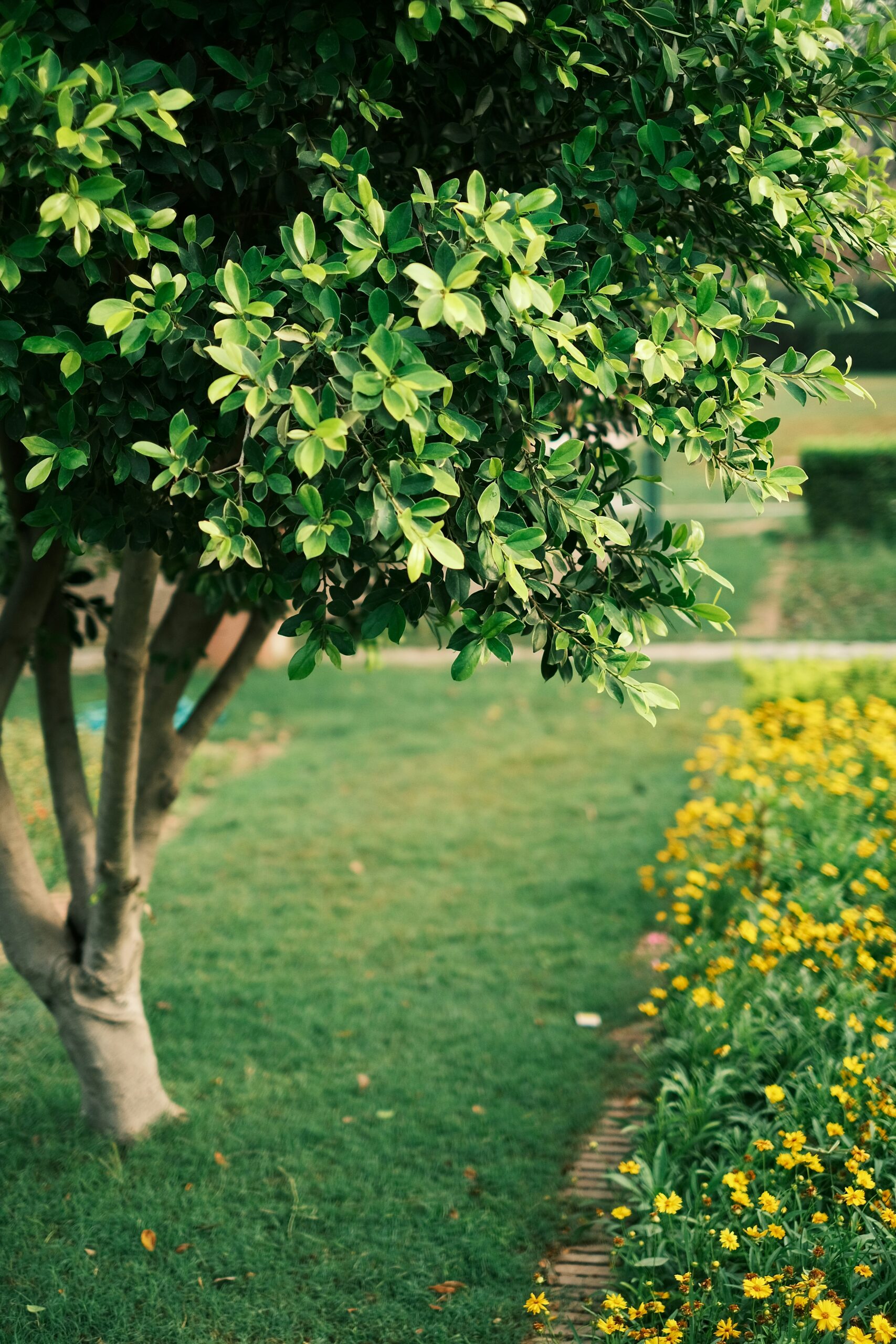 sehajpal singh hxzbqjw p3y unsplash